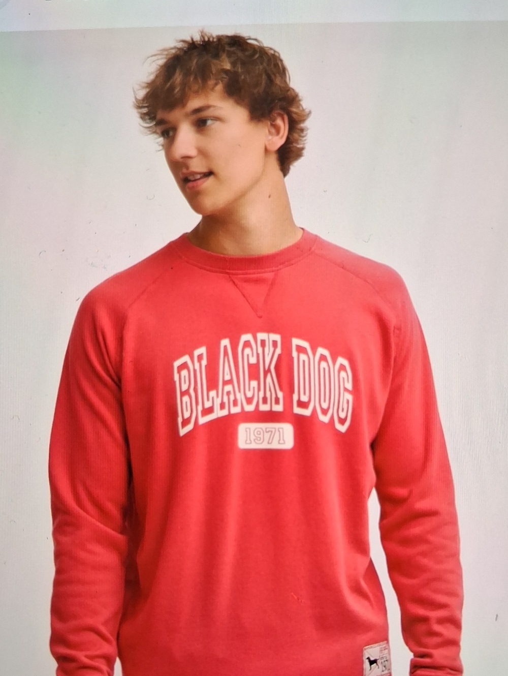 The Black Dog Men's Crewneck Sweater in Faded Coral Red